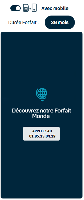 FORFAIT BUSINESS MONDE AVEC mobile 36M