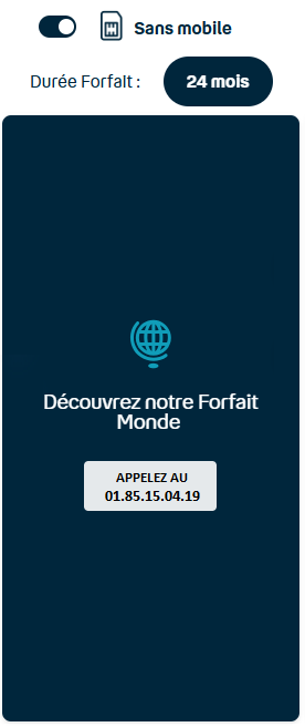 FORFAIT BUSINESS MONDE SANS mobile 24M