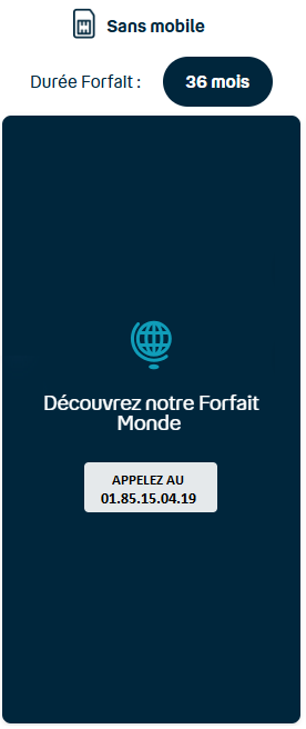 FORFAIT BUSINESS MONDE sans mobile 36M